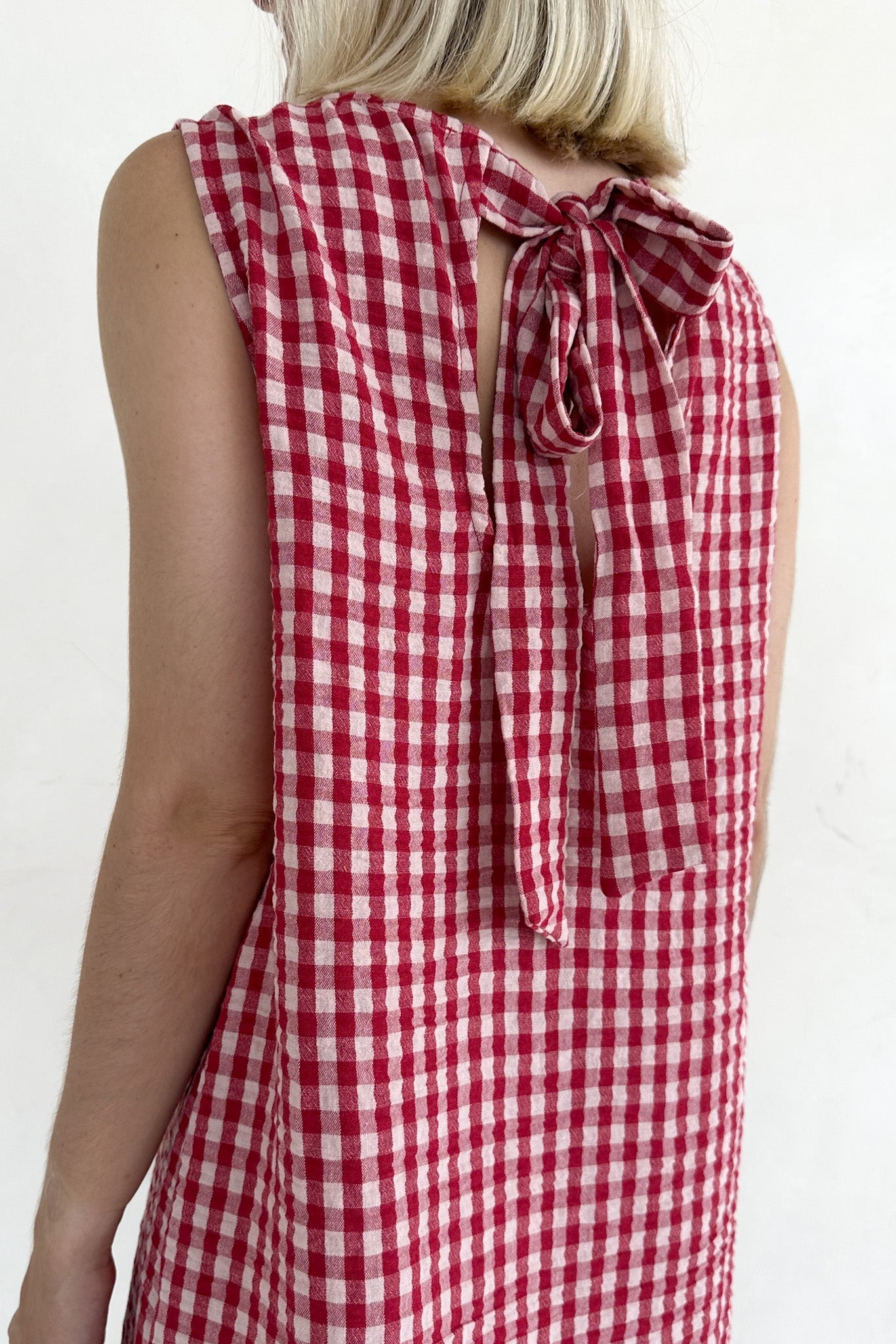 Annie 100% Cotton Gingham Dress in Red - Neutral Ground