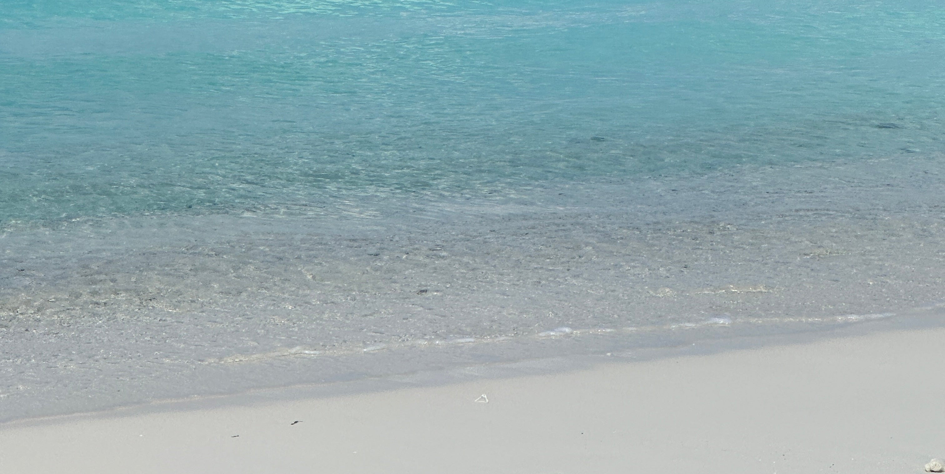 Clear blue water and white sand at a beach