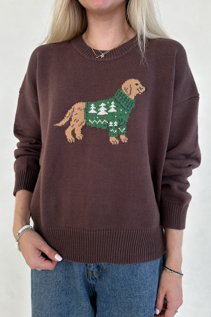 Brinkley Dog With Holiday Sweater Pullover - Neutral Ground