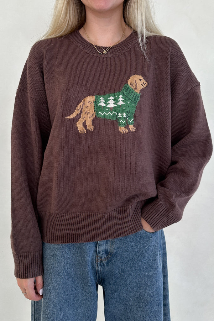 Brinkley Dog With Holiday Sweater Pullover - Neutral Ground