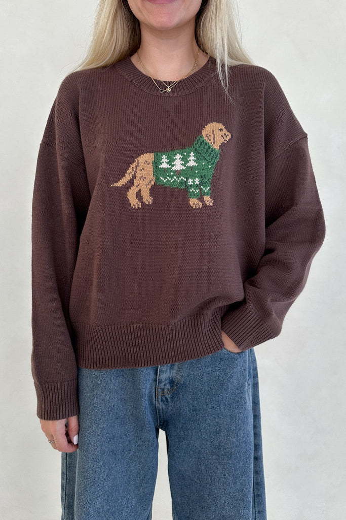 Brinkley Dog With Holiday Sweater Pullover - Neutral Ground
