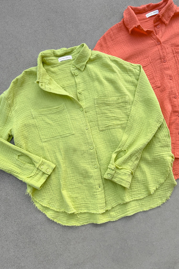 Newport Cotton Button Down Shirt in Lime - Neutral Ground